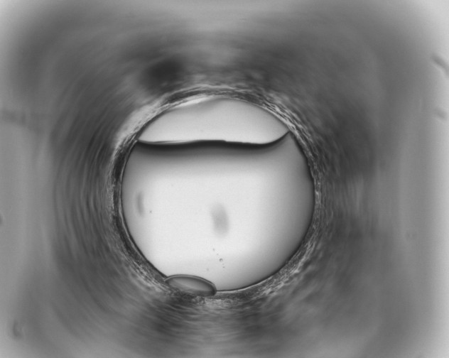 X0000094450149200711081055