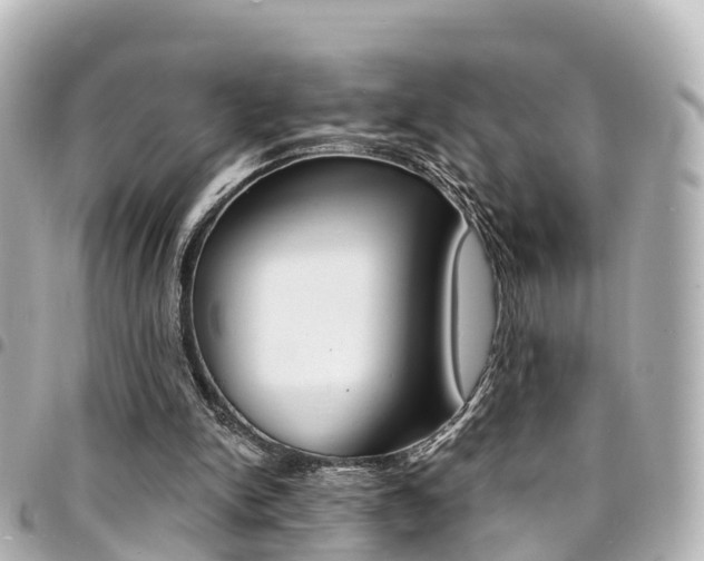 X0000094450150200711081055
