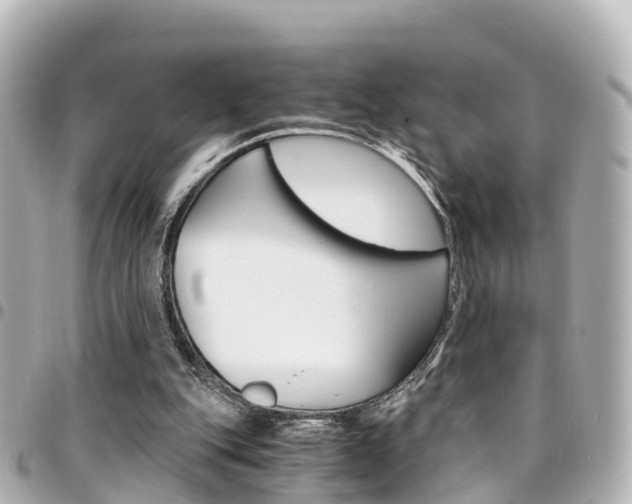 X0000094450151200711081055