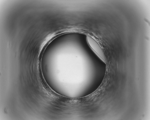 X0000094450152200711081055