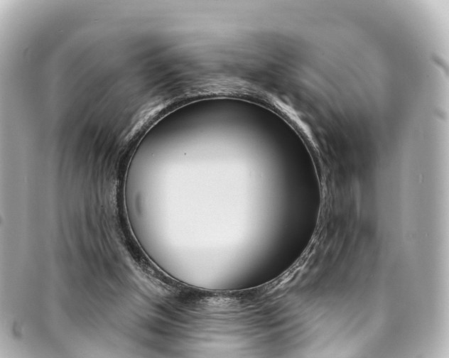 X0000094450154200711081055