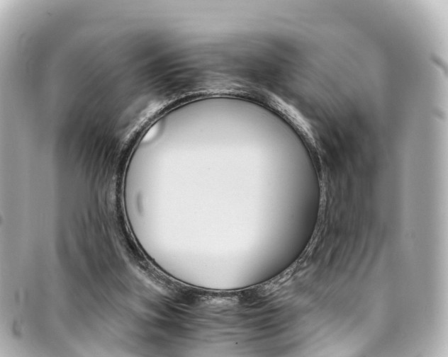 X0000094450155200711081055
