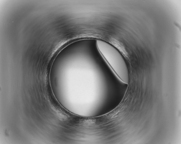 X0000094450156200711081055