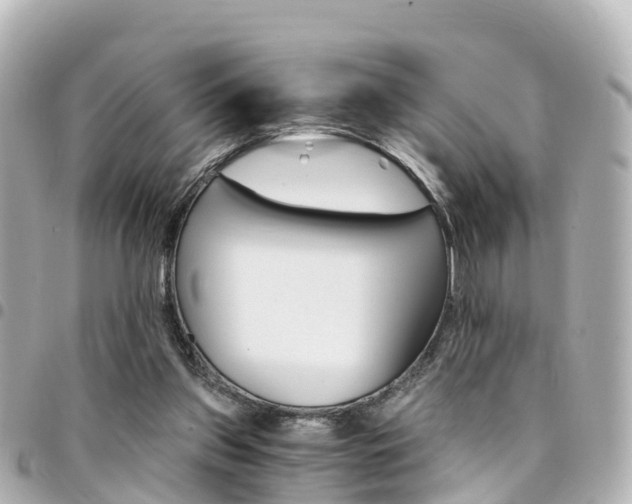 X0000094450157200711081055