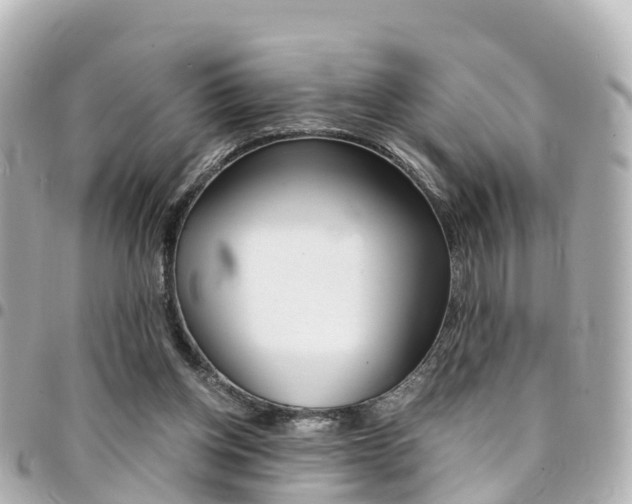 X0000094450158200711081055