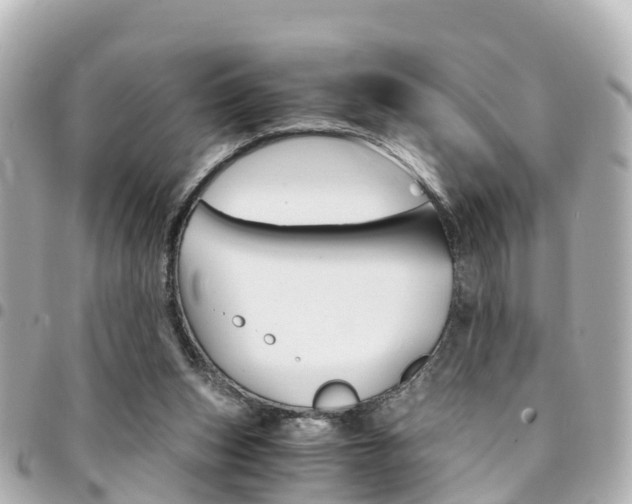 X0000094450159200711081055