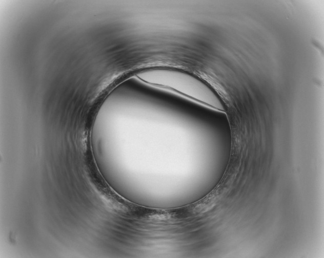 X0000094450160200711081055