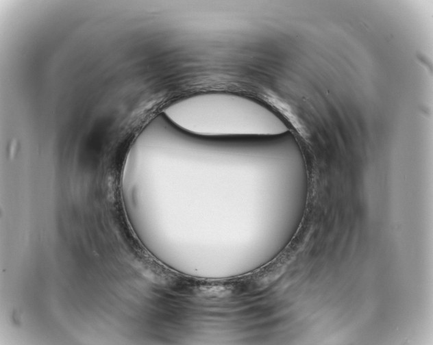 X0000094450161200711081055