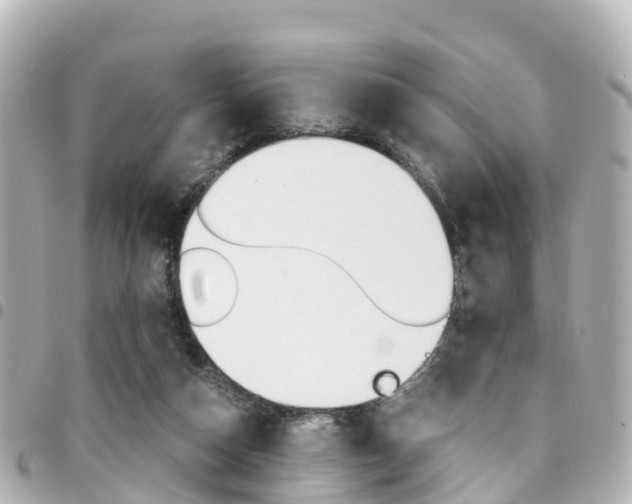 X0000094450162200711081055