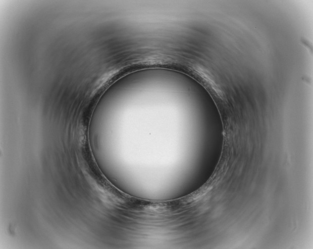 X0000094450164200711081055