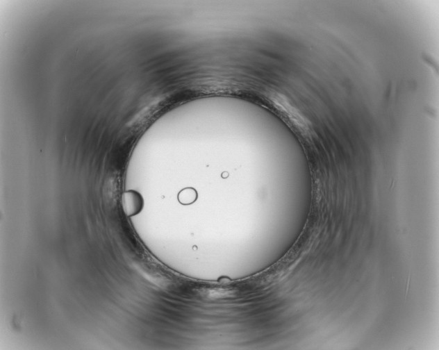 X0000094450165200711081055