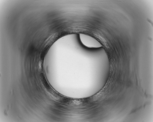 X0000094450166200711081055