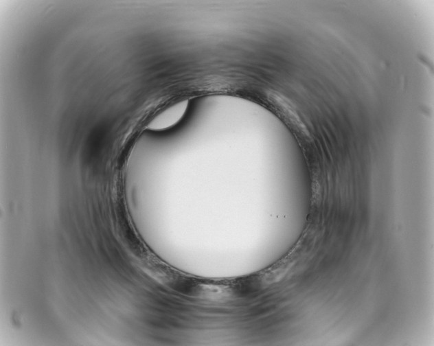X0000094450167200711081055