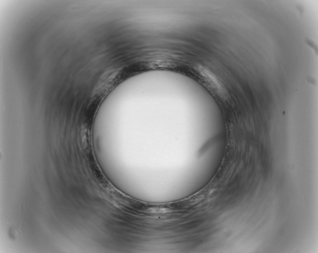 X0000094450169200711081055