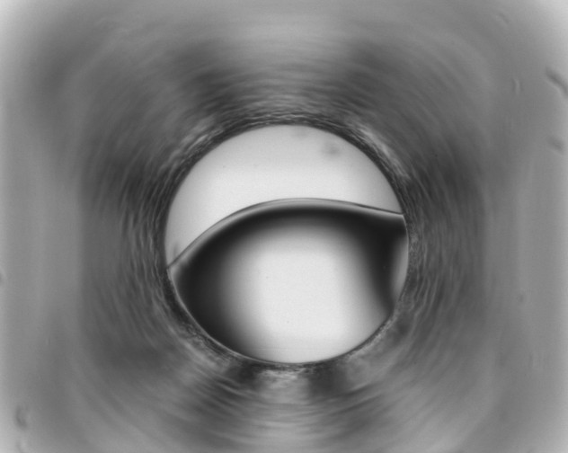 X0000094450170200711081055
