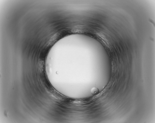 X0000094450171200711081055