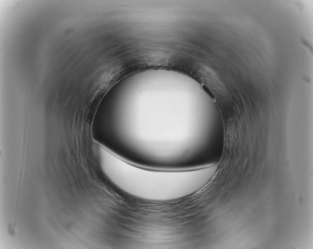 X0000094450172200711081055