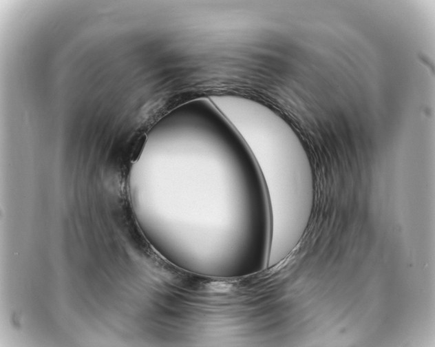 X0000094450176200711081055