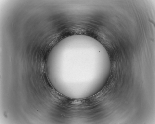 X0000094450177200711081055