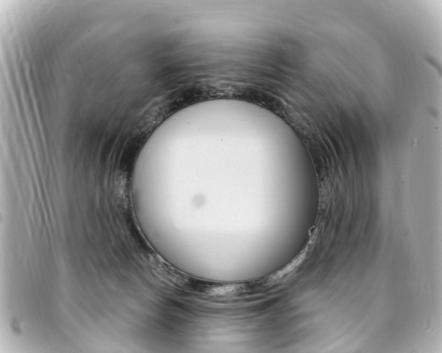 X0000094450178200711081055