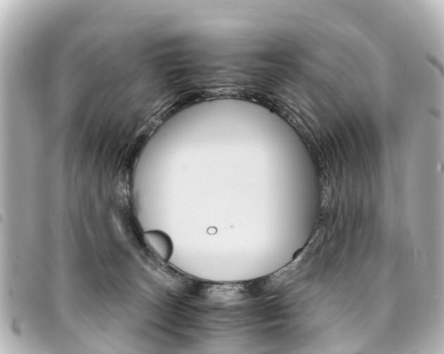 X0000094450179200711081055