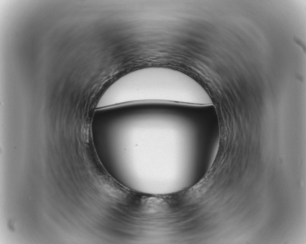 X0000094450180200711081055