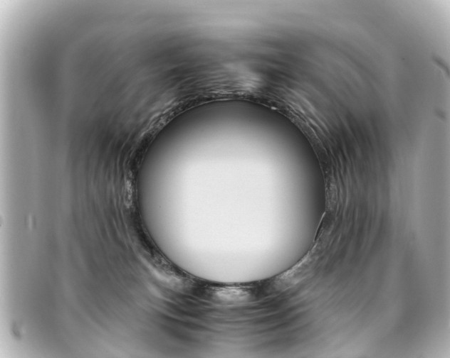 X0000094450183200711081055