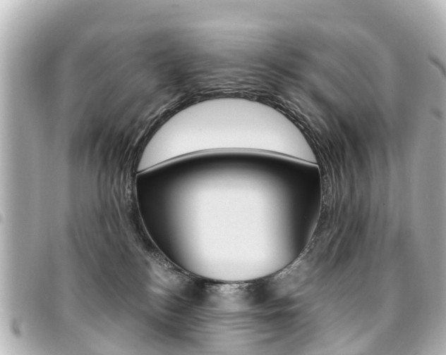 X0000094450184200711081055