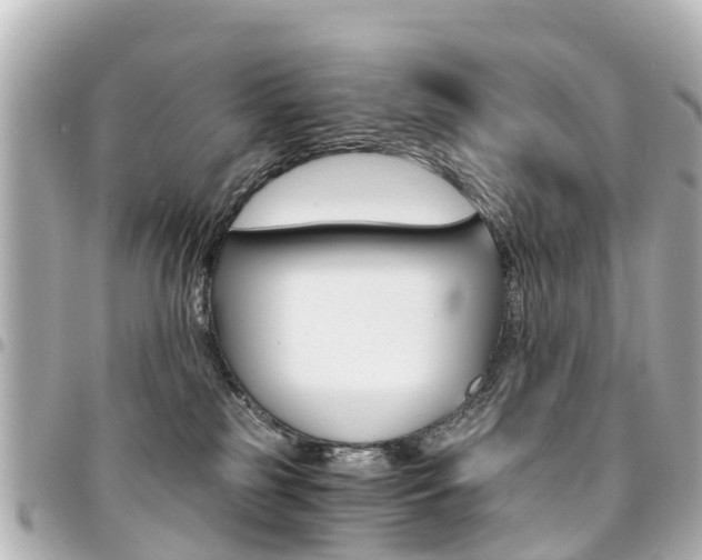 X0000094450185200711081055