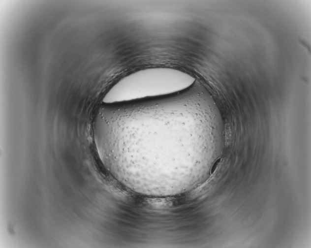 X0000094450187200711081055