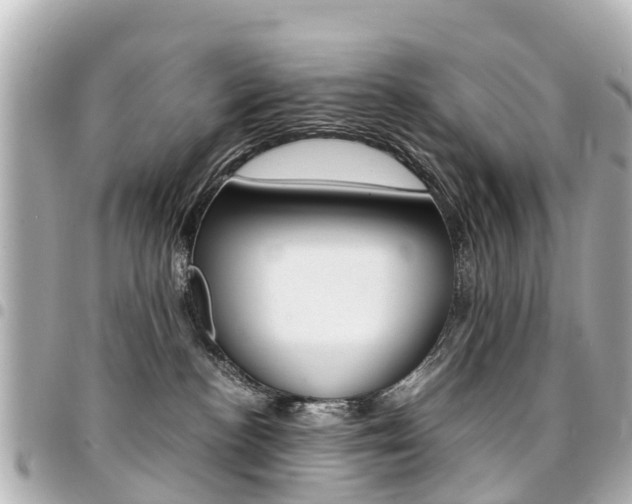 X0000094450188200711081055