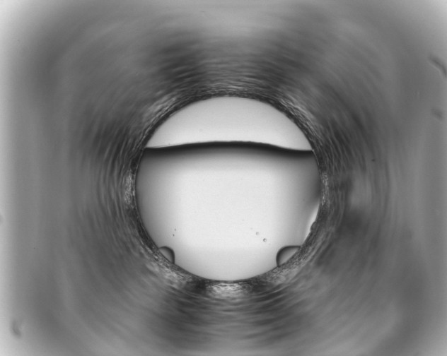 X0000094450189200711081055