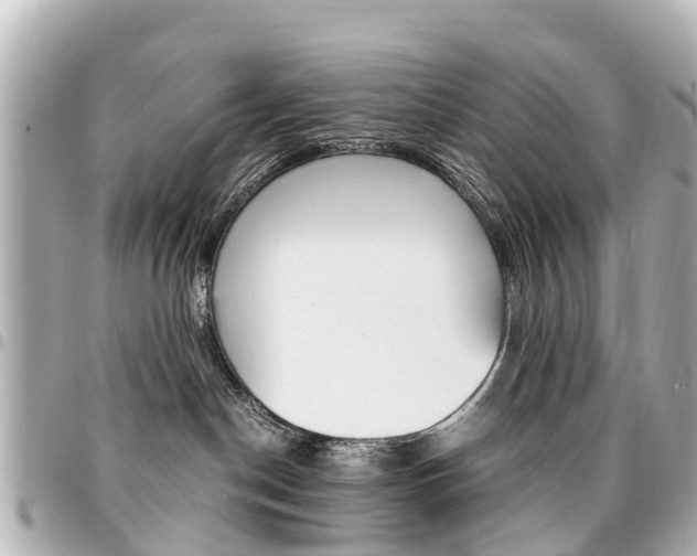 X0000094450190200711081055
