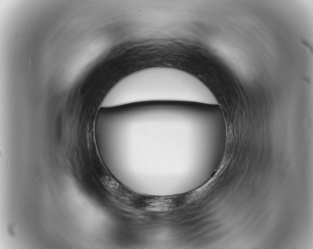 X0000094450191200711081056