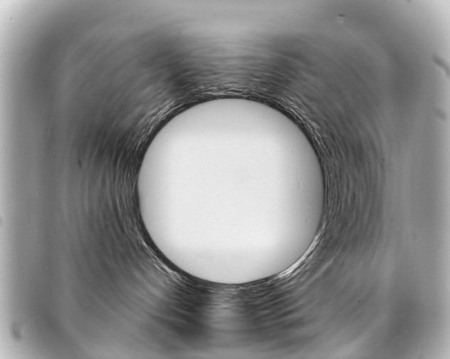 X0000094450192200711081056