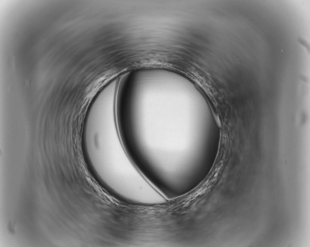 X0000094450193200711081055