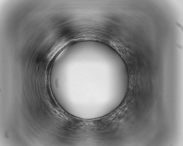 X0000094450194200711081055