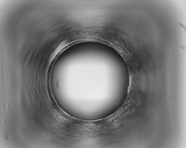 X0000094450195200711081055