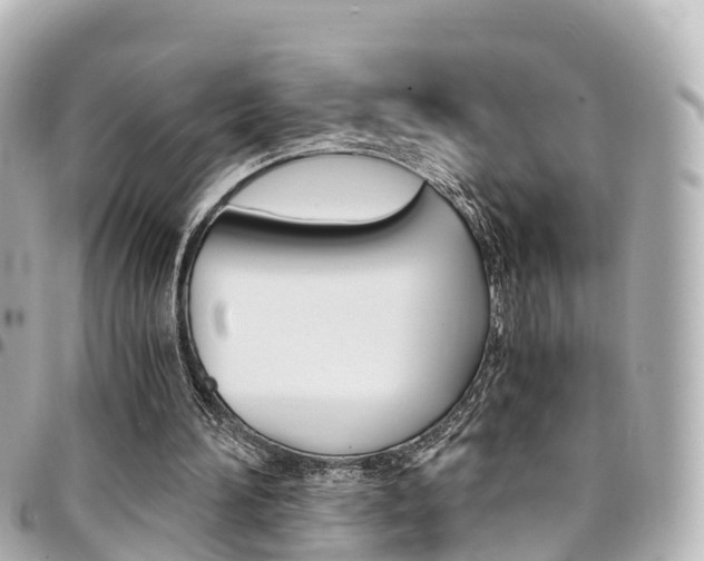 X0000094450196200711081055