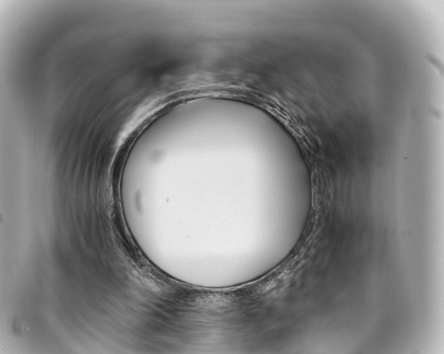 X0000094450198200711081055