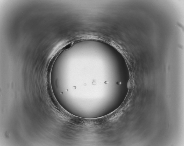 X0000094450199200711081055