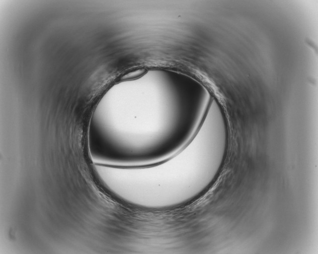 X0000094450201200711081055