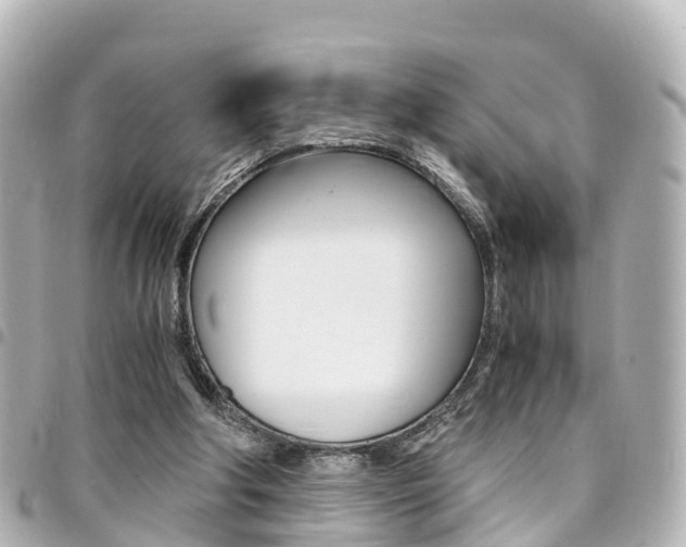 X0000094450202200711081055