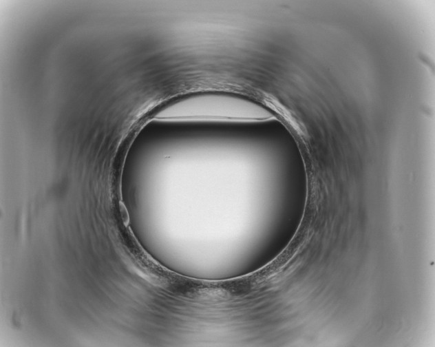 X0000094450203200711081055