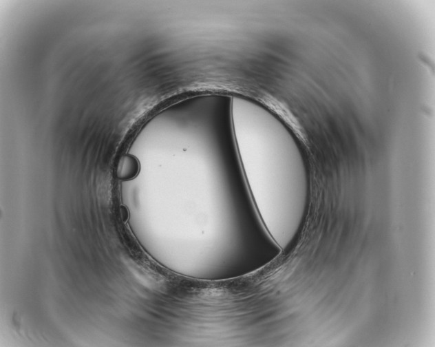 X0000094450204200711081055