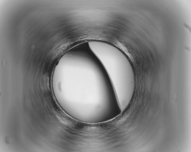 X0000094450205200711081055