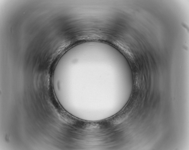 X0000094450206200711081055