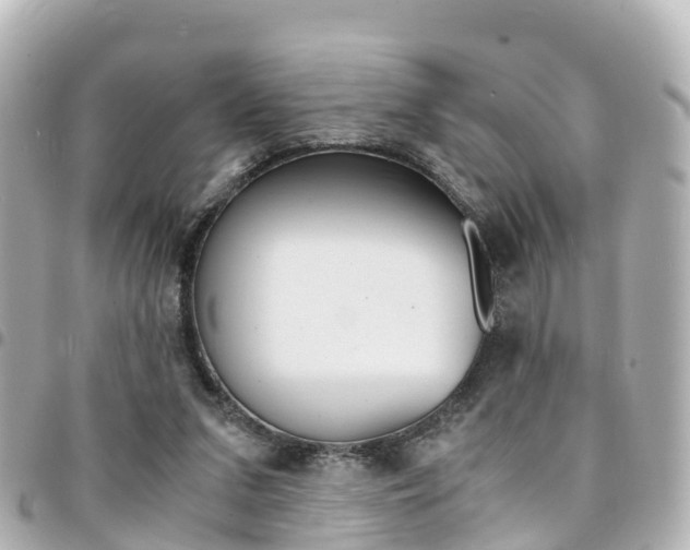 X0000094450207200711081055