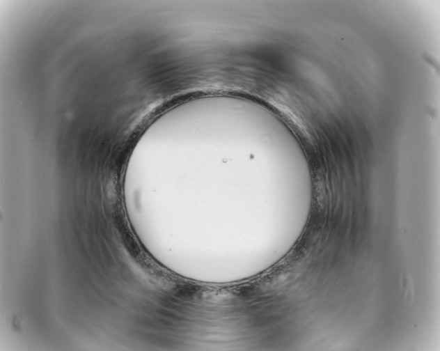 X0000094450208200711081055