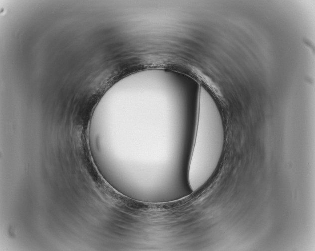 X0000094450209200711081055